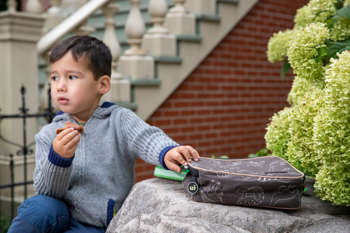 Simple Lunch Ideas for Toddlers with Food Allergies – Urban Infant